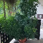 Veranda
