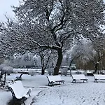 Veranda Mestecǎneşti