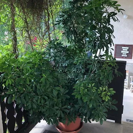 Veranda