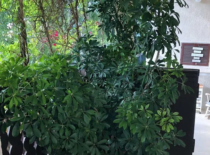 Veranda
